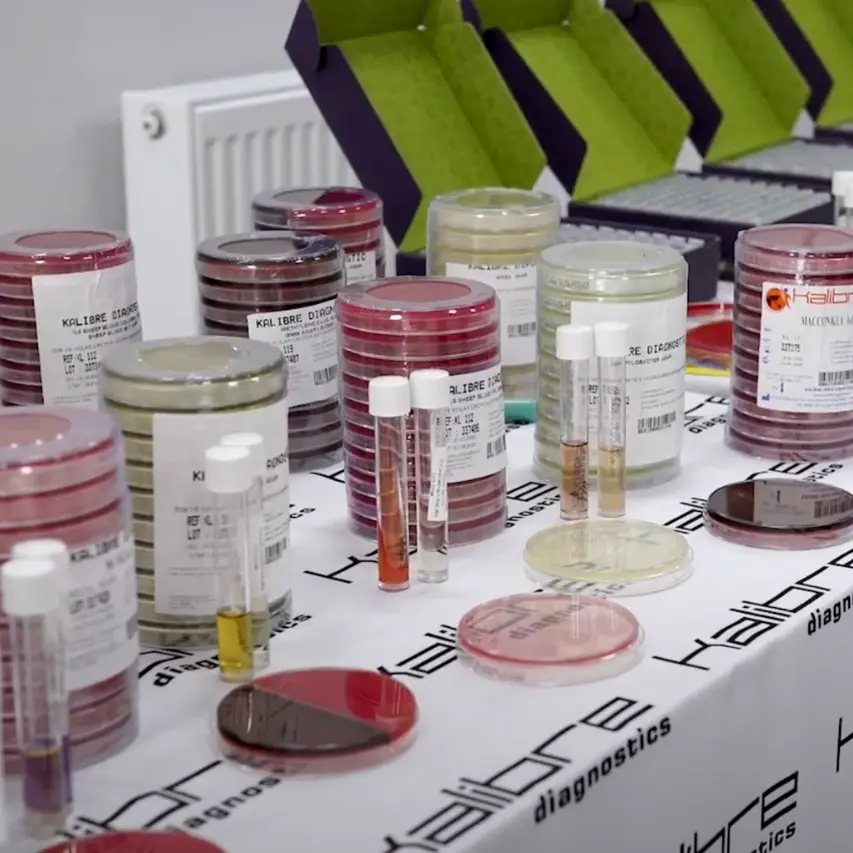 Kalibre Grup Diagnostic Laboratuvar